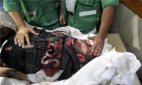اتحاد الصحفيين العرب والدولي يقرران إرسال لجنة تقصى حقائق الى غزة