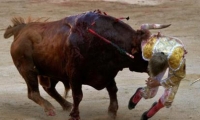 مقتل شخص وإصابة اثنين في حادثين للركض أمام الثيران في اسبانيا