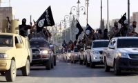 مقتل اكثر من 500 مقاتل من داعش في الغارات الامريكية